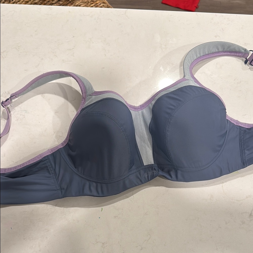 Panache Blue and Purple Underwire sports Bra with Molded Cups